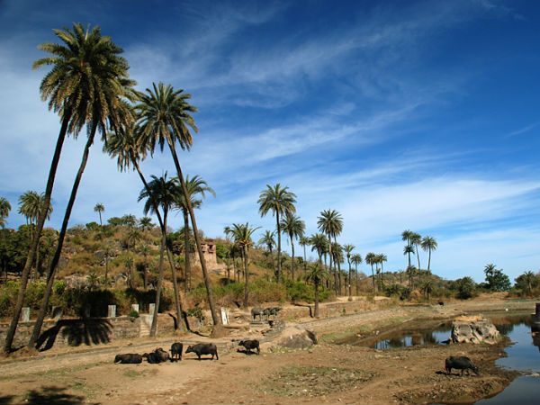  अचलगढ़ किला 