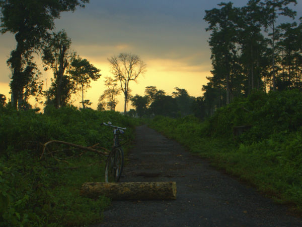 नामेरी, असम 