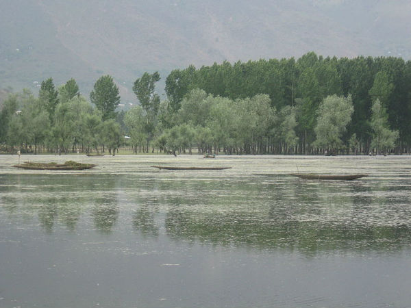 Wular lake