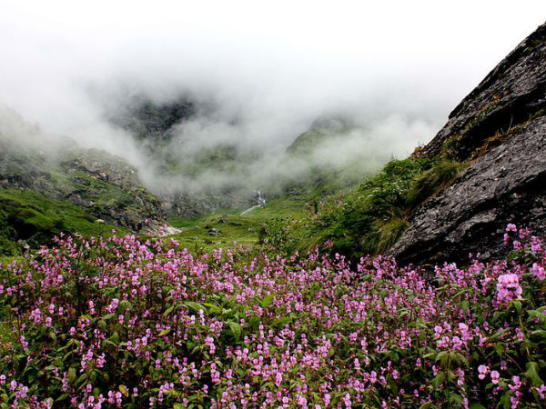 Valley of Flowers