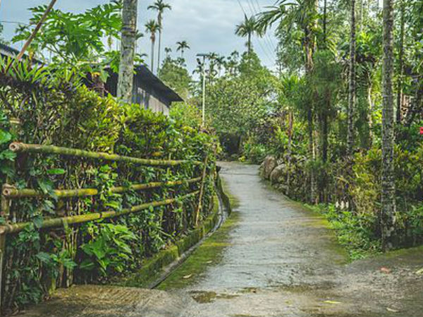 एशिया के सबसे स्वच्छ गाँव की सैर 