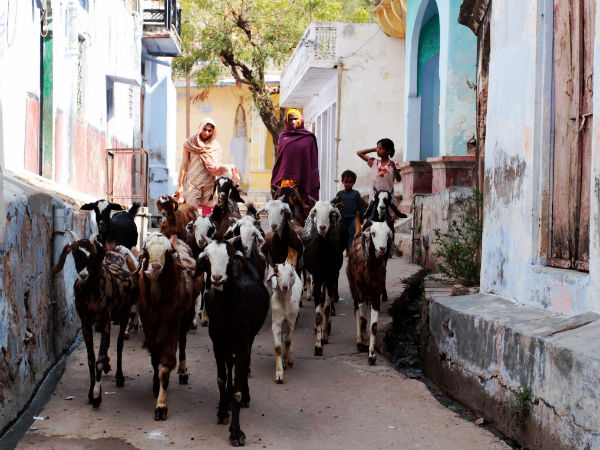 यहाँ का रंगीन ग्रामीण क्षेत्र 