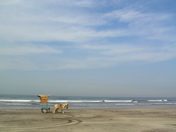 दापोली में और उसके आसपास बसे पर्यटक स्थल 