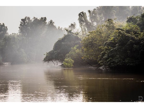 भितरकनिका राष्ट्रीय उद्यान की मुख्य विशेषताएं