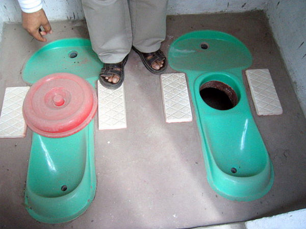  देश का विचित्र संग्रहालय 