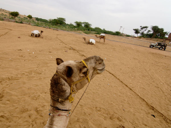 आखिर ऐसा क्या है ओसियां में? आखिर ऐसा क्या है ओसियां में?