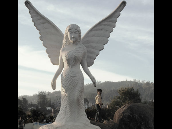 Government Rose Garden, Ooty