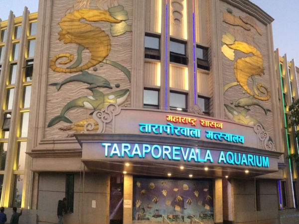 Most Famous Aquariums in India