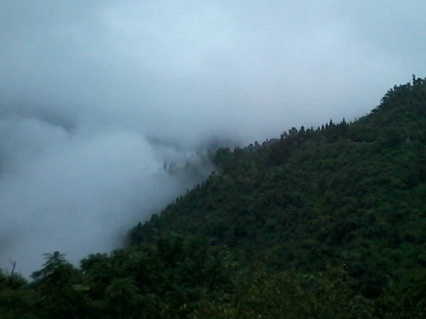 मसूरी-भद्रज 