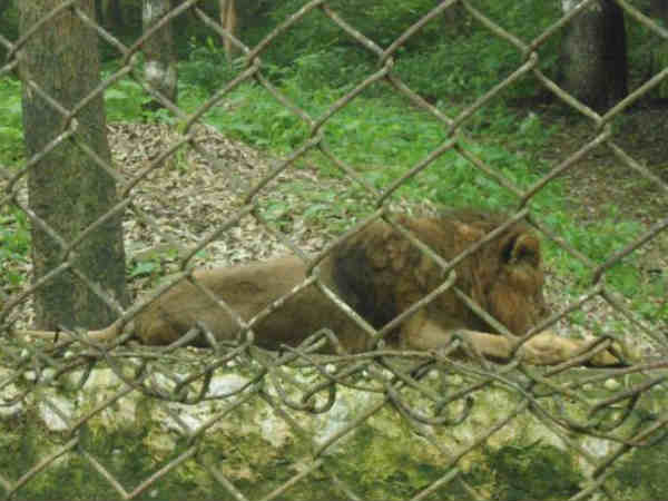  Renuka Lake In Himachal Pradesh