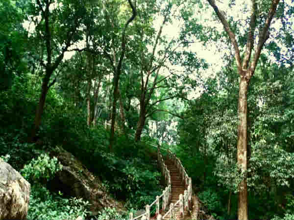 मैनपाट - छत्तीसगढ़ 