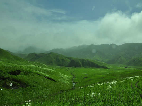 दजुको घाटी नागालैंड