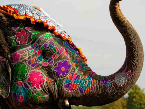 जयपुर में होली 