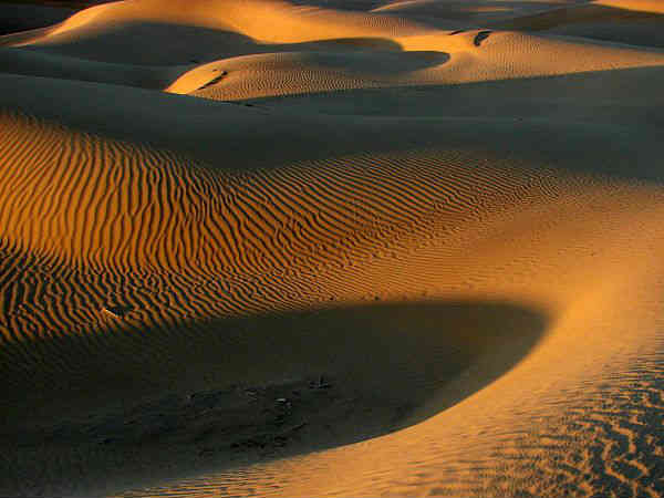 थार रेगिस्तान की रात