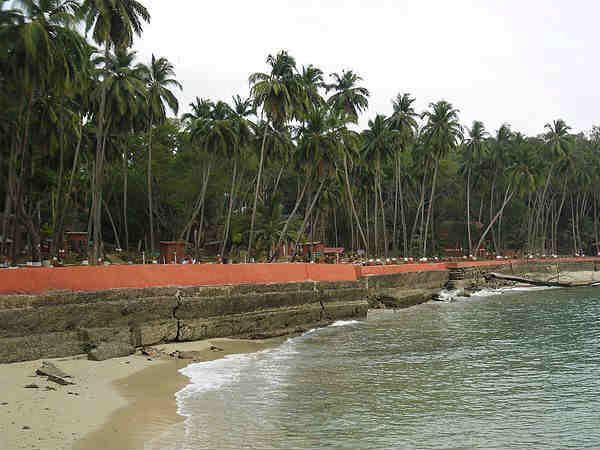 अंडमान की प्रवाल भित्तिया