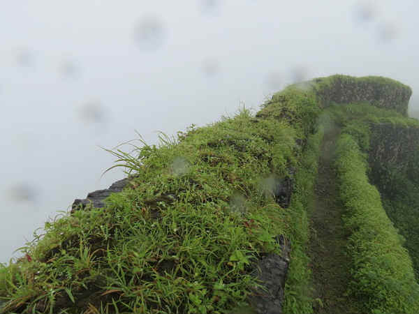 तोरणा ट्रेक 