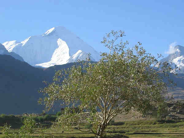 सुरु घाटी-लद्दाख