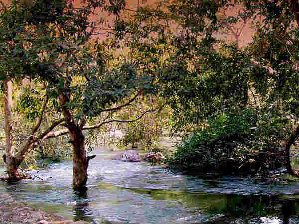 सीतामाता वन्यजीवन अभ्यारण्य 