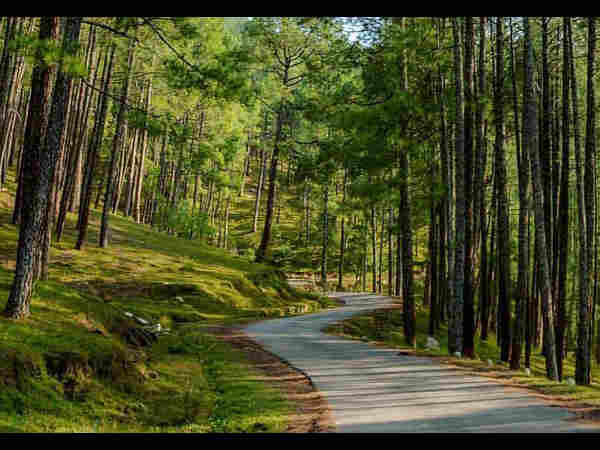 सातवाँ दिन 