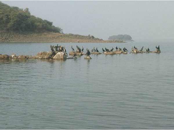 मैथोन बांध, झारखंड