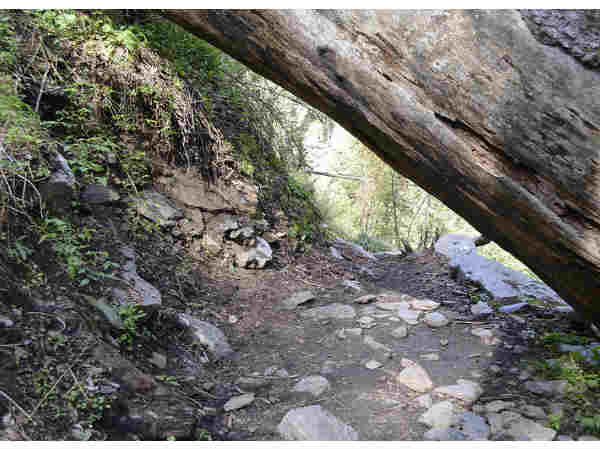 छठा दिन-हर की दून ओस्ला (11 किमी )