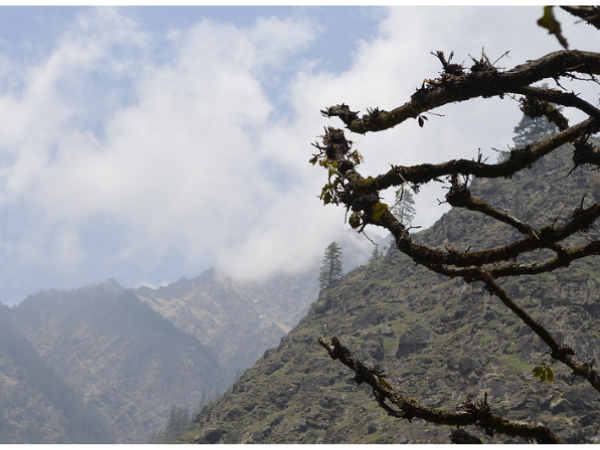 सातवें दिन की ट्रेकिंग 