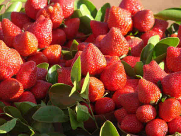 महाबलेश्वर