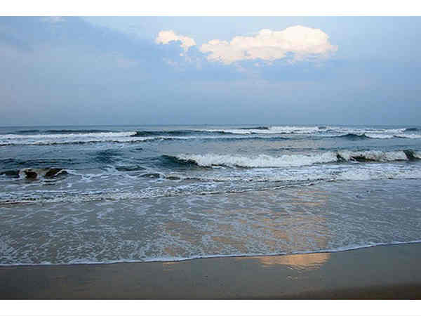 तारकरली