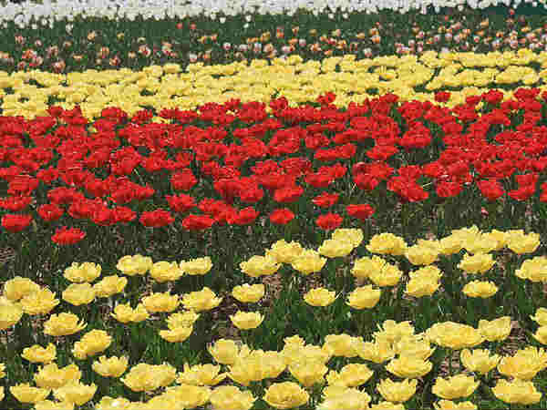 बहार-ए-कश्मीर