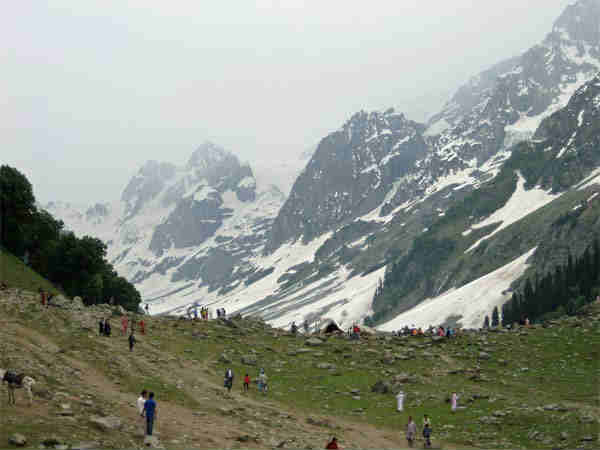  थजिवास ग्लेशियर