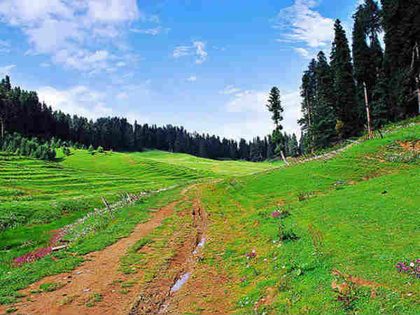 स्ट्रॉबेरी घाटी 