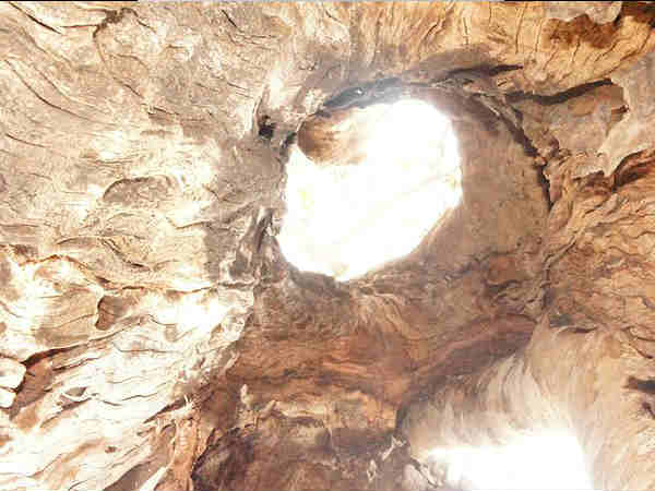 कैसे पहुंचे 