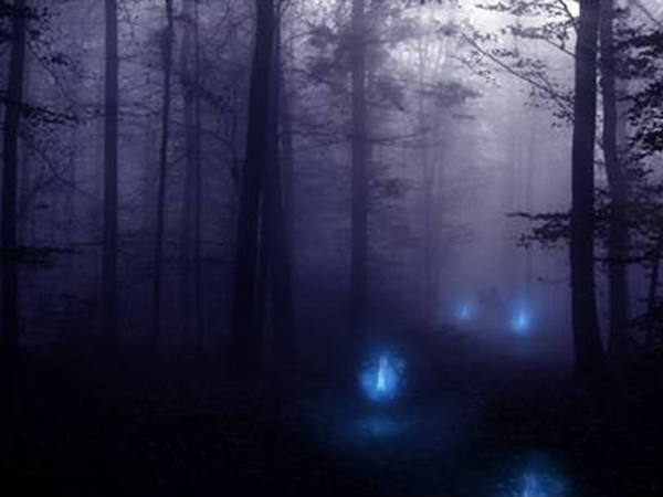 कच्छ का घास का मैदान