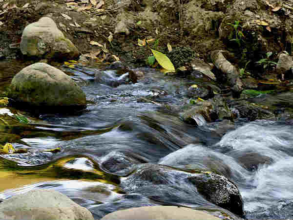 गतिविधियां 