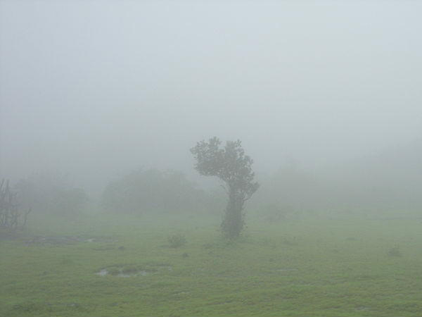  एक्टिविटीज 