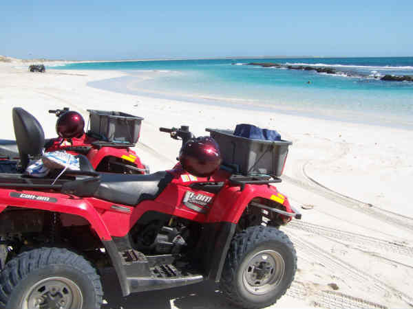 कैसे पहुंचे गोवा 