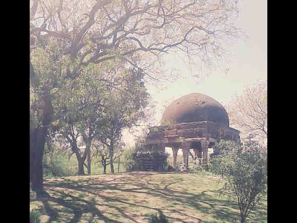 राष्ट्रीय प्राणी उद्यान