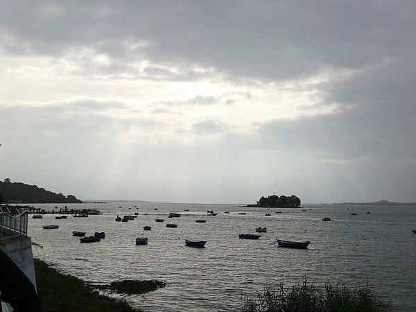 भोज वेटलैंड 