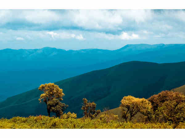 चिकमगलूर 