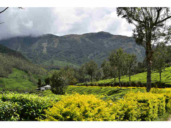 देवीकुलम