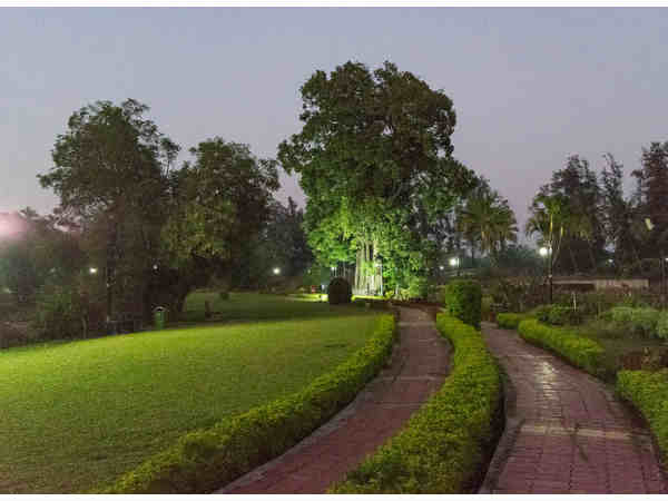 मिनी जू और बाल उद्यान 