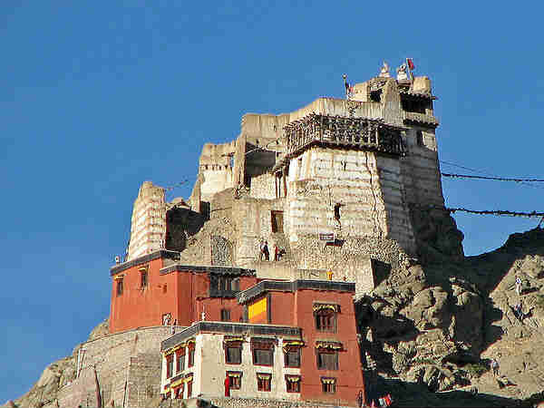 क्या घूमे