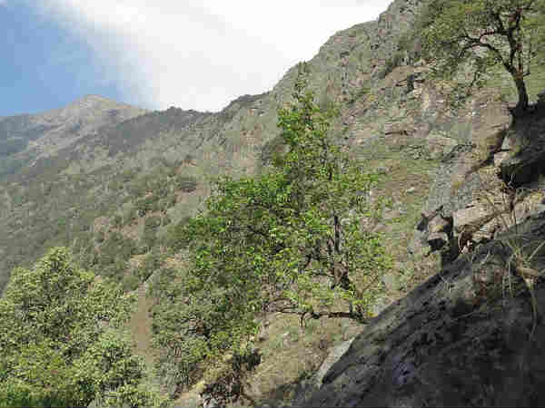 कैसे पहुंचे?