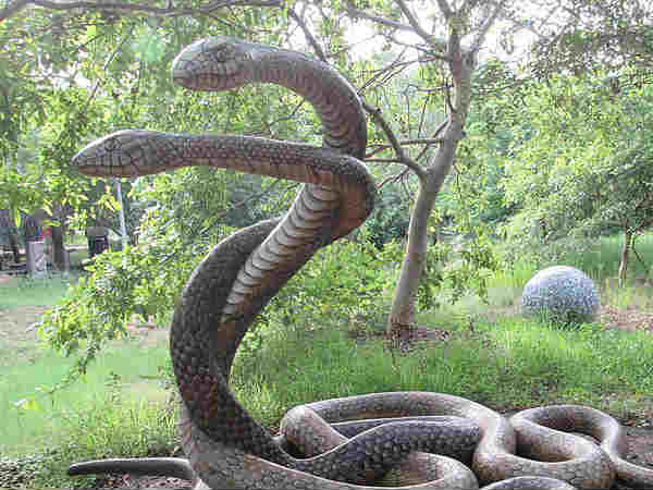 गिनडी स्नेक पार्क, चेन्नई