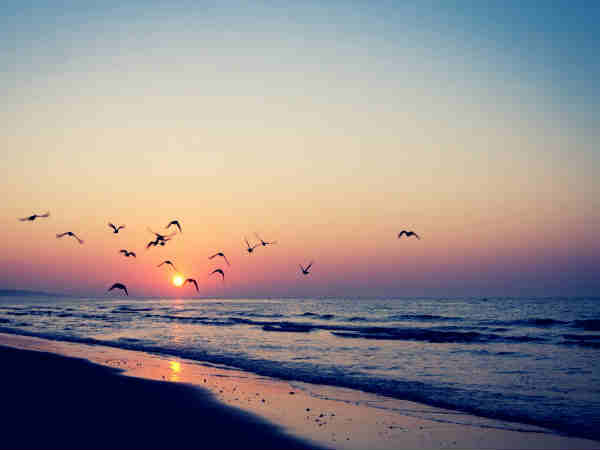 अगोंडा तट 