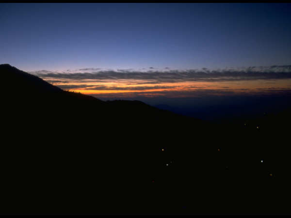 बने नये दोस्त 