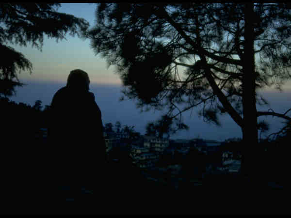 तारों की छांव में 