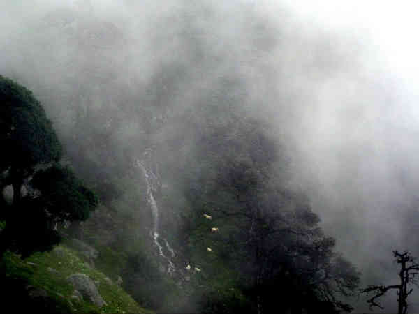 त्रिउंड ट्रैकिंग