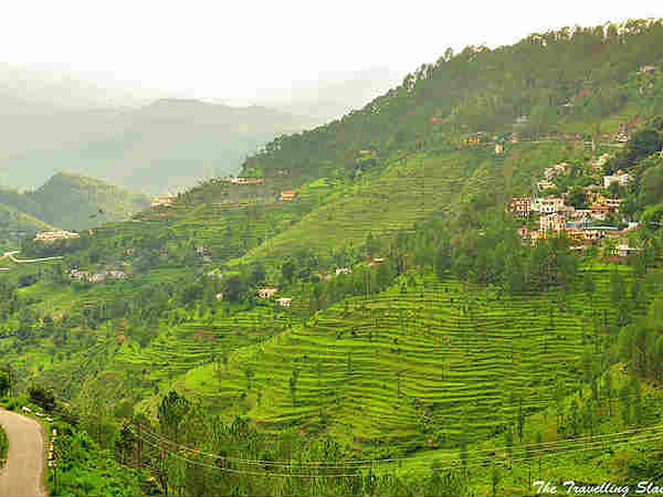 ट्रैकिंग 