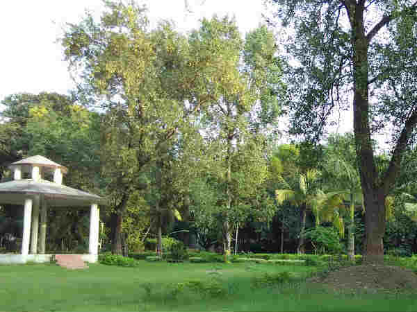 800 एकड़ में 